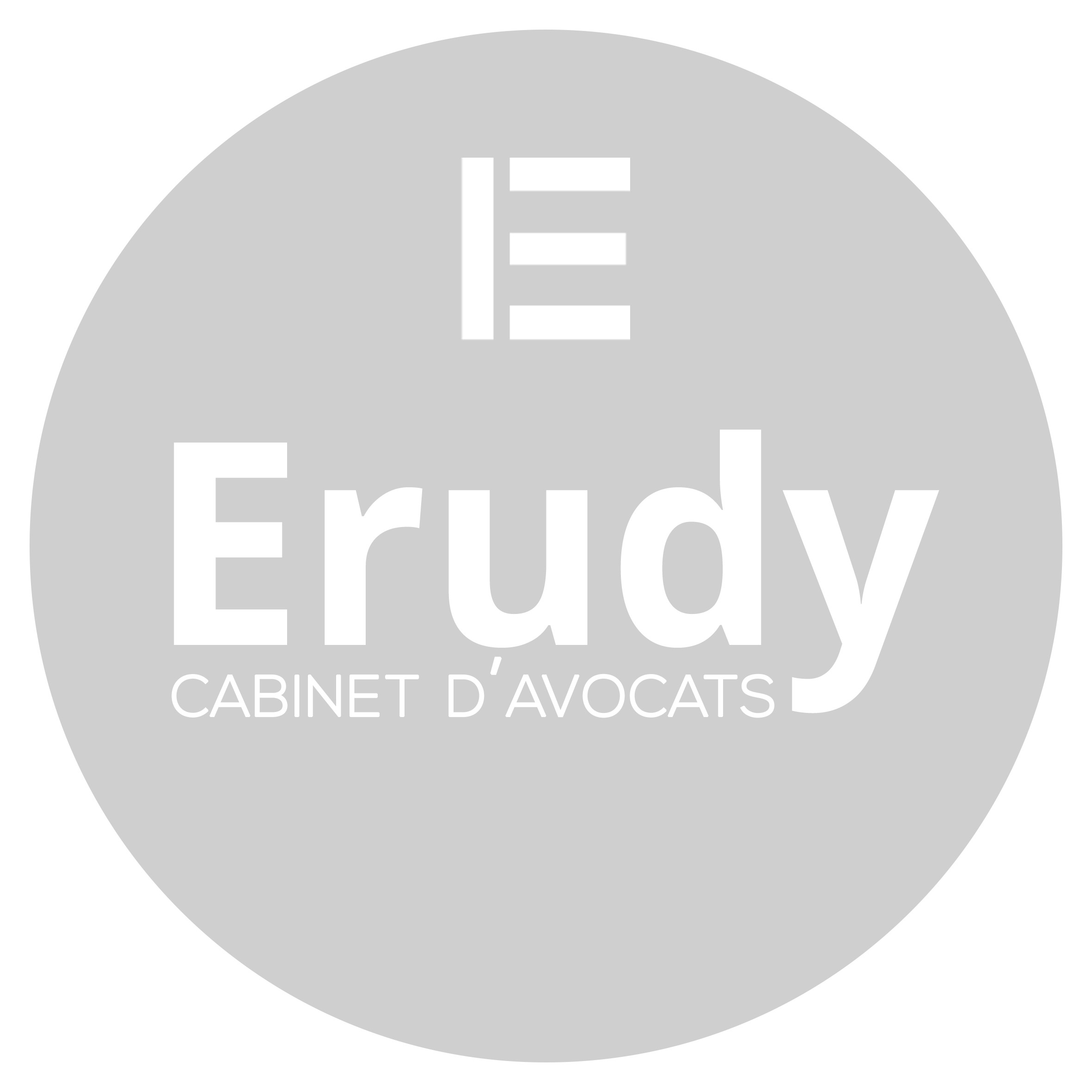 Logo ERUDY